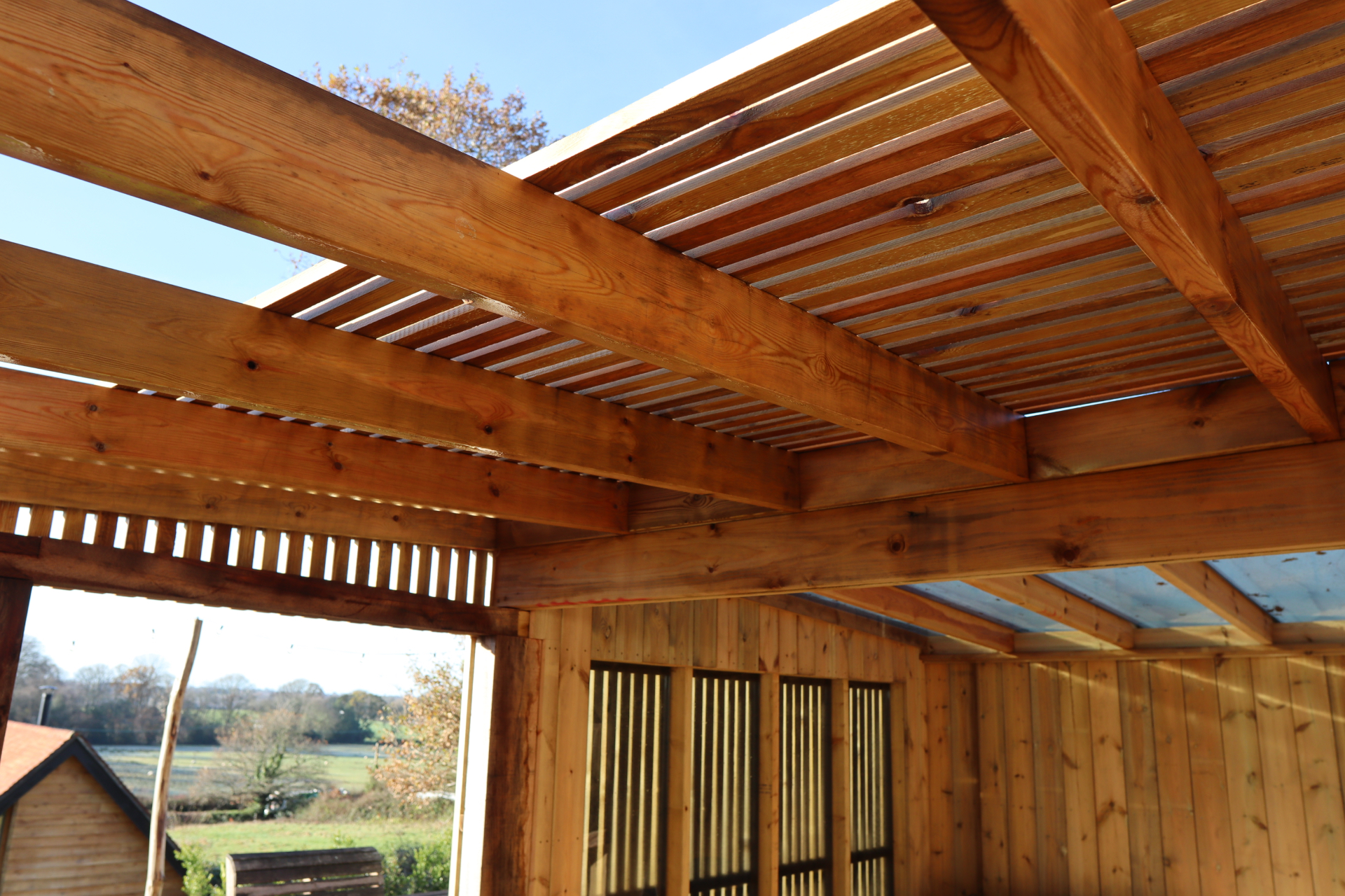 Stained timber rafters with translucent roof panels